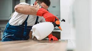 Emergency Pest Control Services in Union City, CA